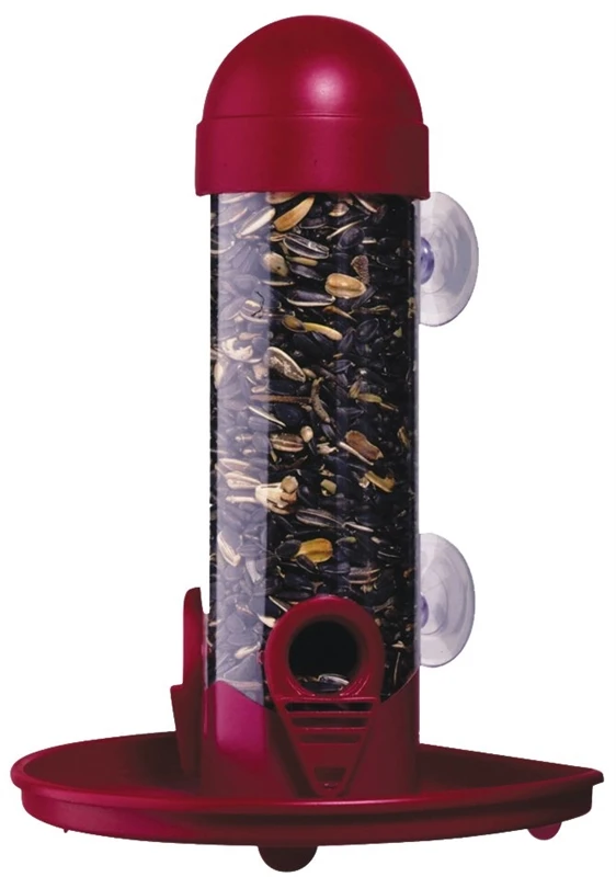 celebrationhardware3568732