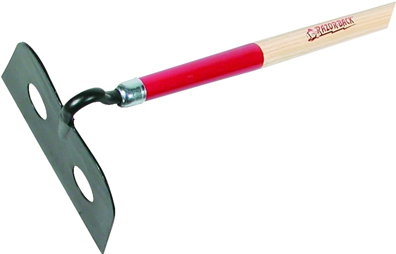 celebrationhardware4923082