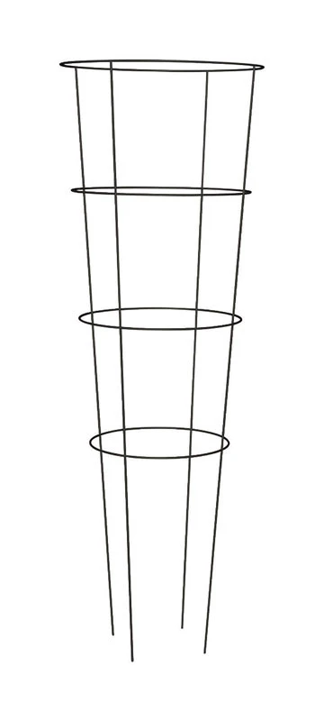 celebrationhardware4968065