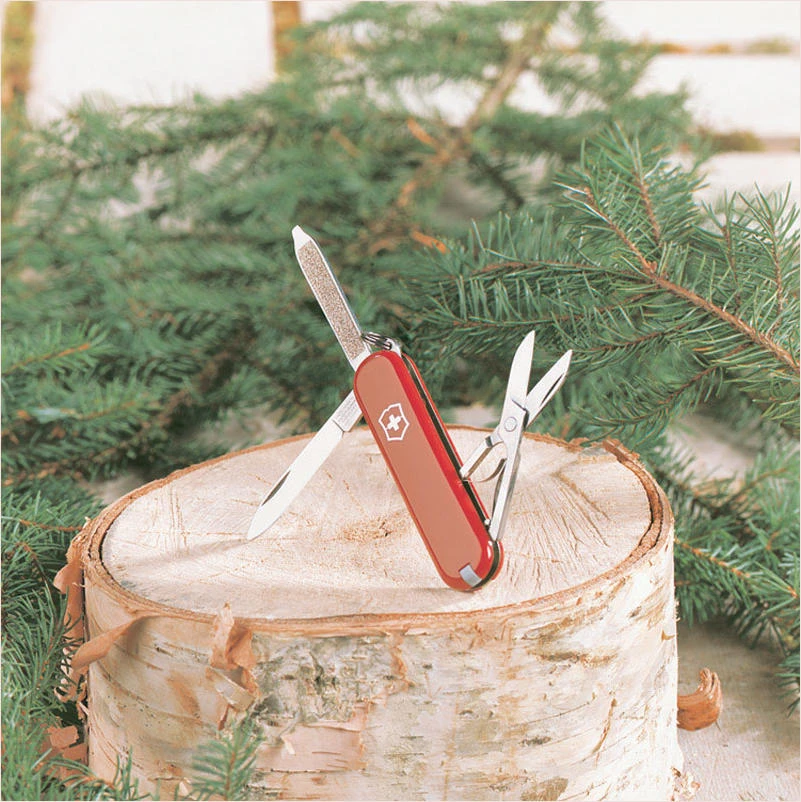celebrationhardware5005049