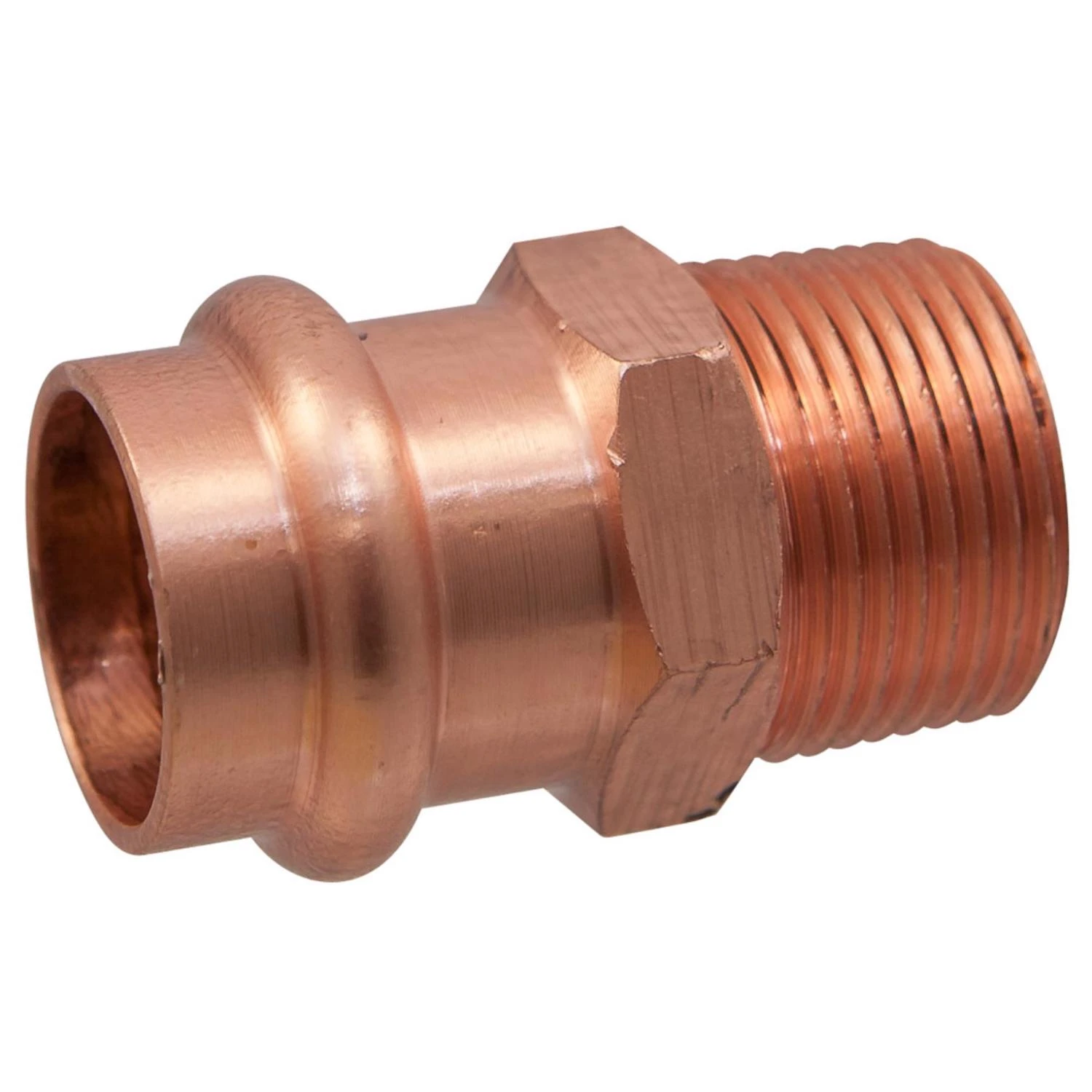 celebrationhardware5174909