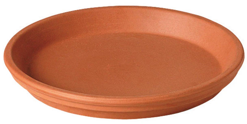 celebrationhardware5288884