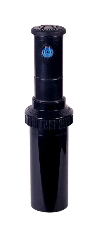 celebrationhardware5512402