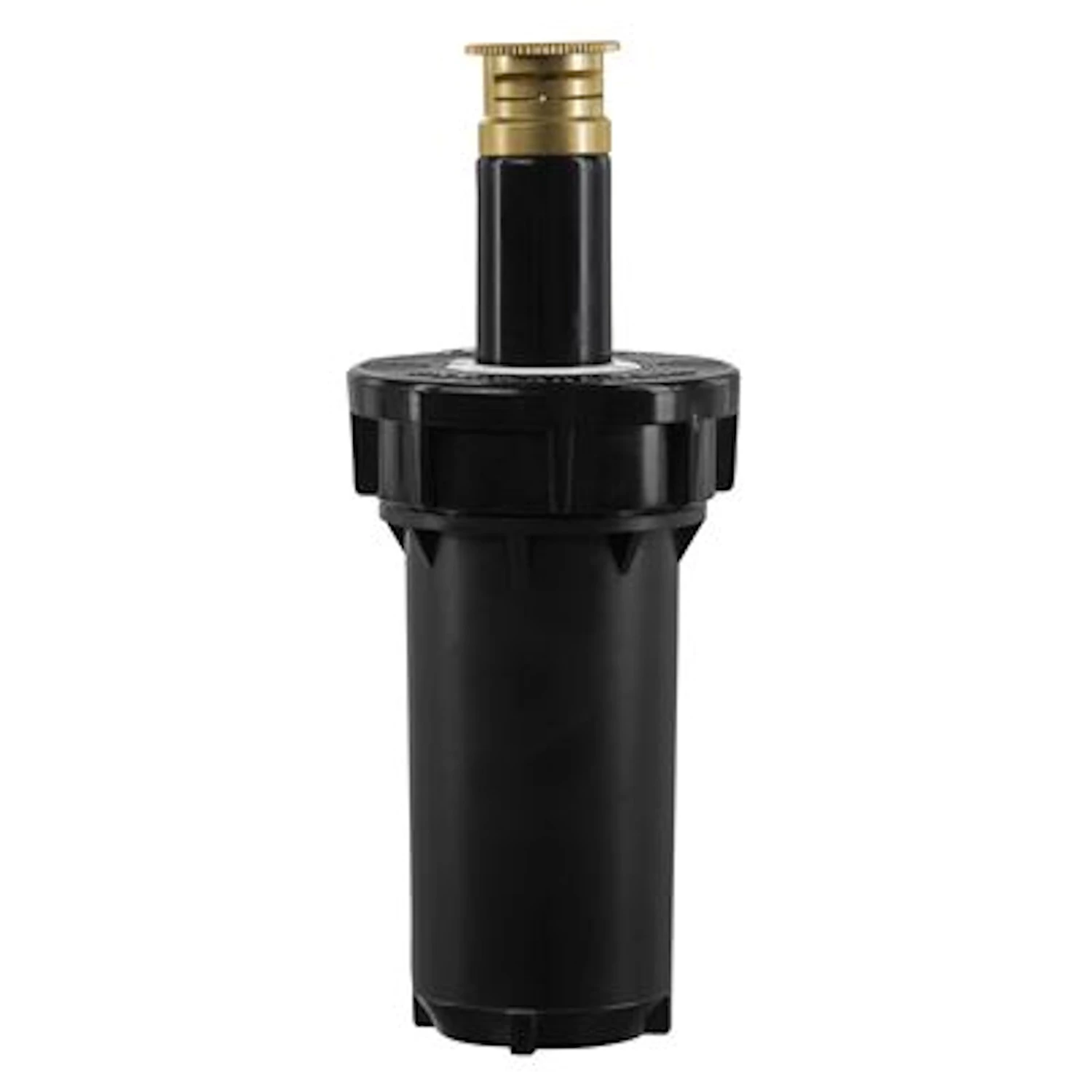 celebrationhardware5522572