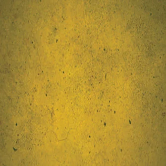 moondecorative3258019