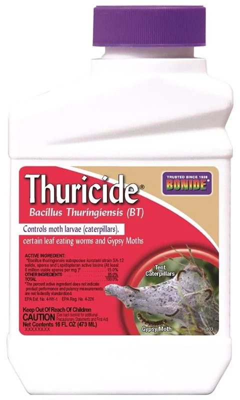 store.clatskaniebuildersupply3232954